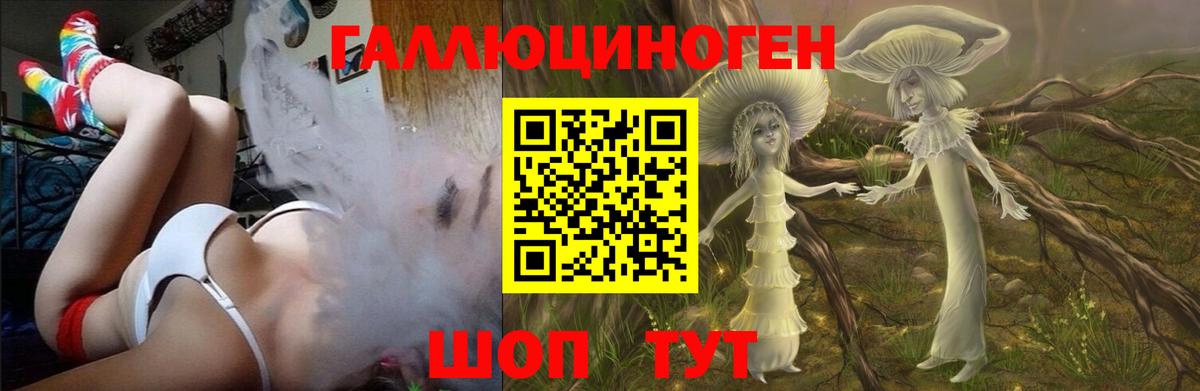 Галлюциногенные грибы Psilocybine cubensis Губкин