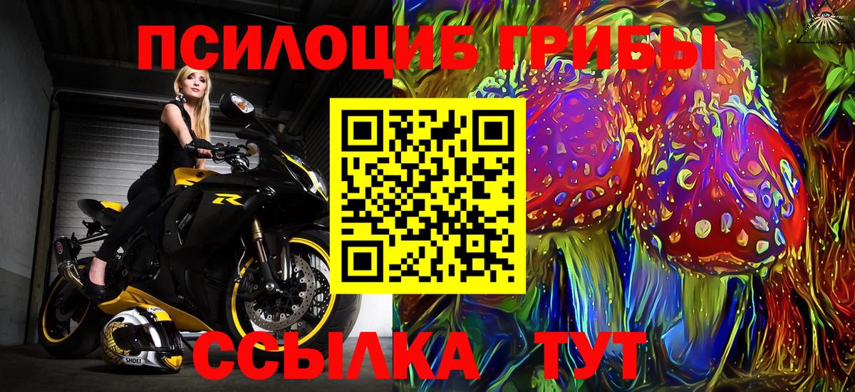 Галлюциногенные грибы Cubensis  Вход с VPN  Псилоцибиновые грибы Cubensis  Губкин 